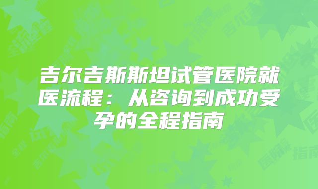 吉尔吉斯斯坦试管医院就医流程:从咨询到成功受孕的全程指南