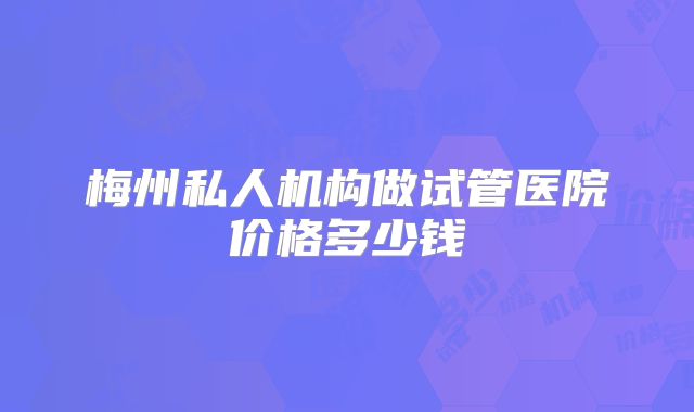 梅州私人机构做试管医院价格多少钱