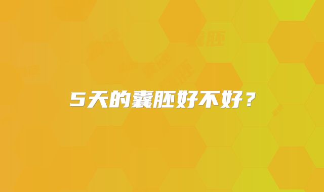 5天的囊胚好不好?