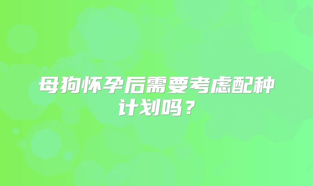 母狗怀孕后需要考虑配种计划吗?