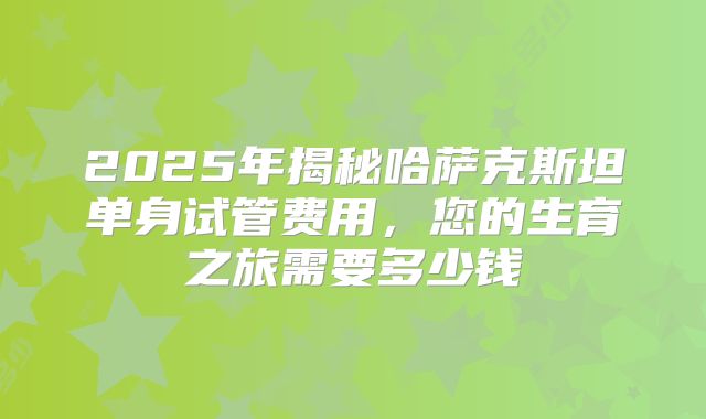2025年揭秘哈萨克斯坦单身试管费用,您的生育之旅需要多少钱