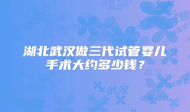 湖北武汉做三代试管婴儿手术大约多少钱？