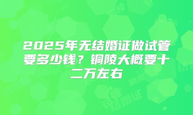 2025年无结婚证做试管要多少钱？铜陵大概要十二万左右