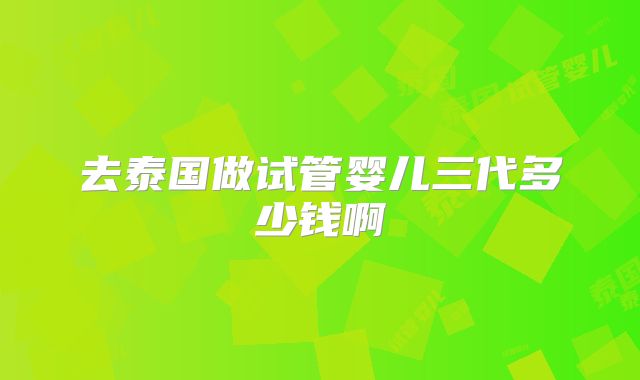 去泰国做试管婴儿三代多少钱啊