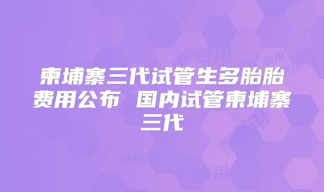 柬埔寨三代试管生多胎胎费用公布 国内试管柬埔寨三代