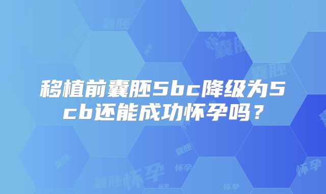 移植前囊胚5bc降级为5cb还能成功怀孕吗？