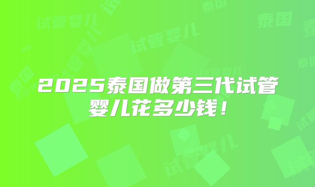 2025泰国做第三代试管婴儿花多少钱!