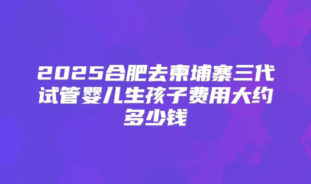 2025合肥去柬埔寨三代试管婴儿生孩子费用大约多少钱