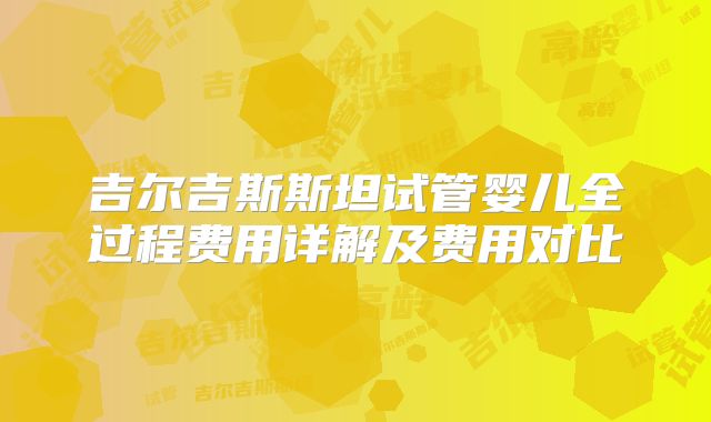 吉尔吉斯斯坦试管婴儿全过程费用详解及费用对比