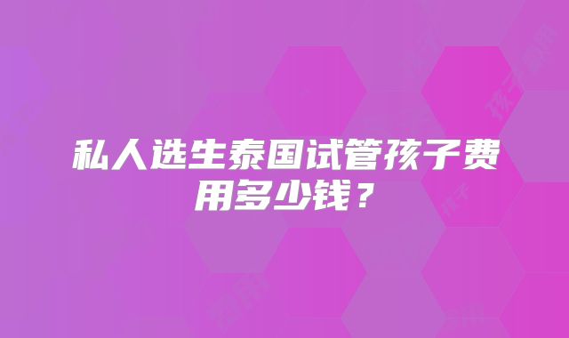 私人选生泰国试管孩子费用多少钱?