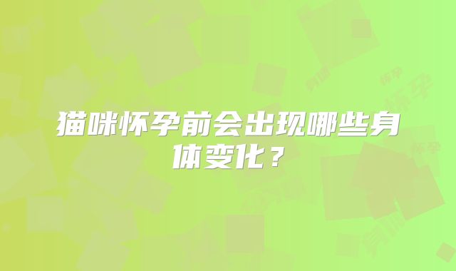 猫咪怀孕前会出现哪些身体变化?
