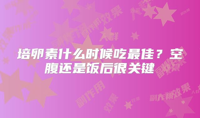 培卵素什么时候吃最佳？空腹还是饭后很关键