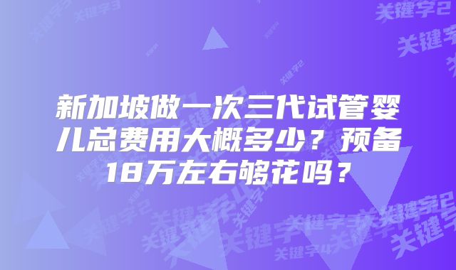 新加坡做一次三代试管婴儿总费用大概多少?预备18万左右够花吗?