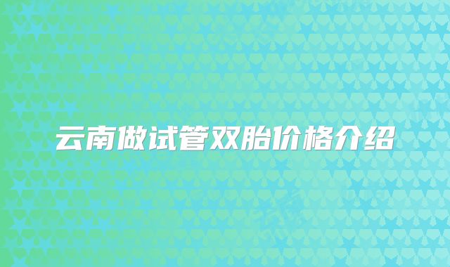 云南做试管双胎价格介绍
