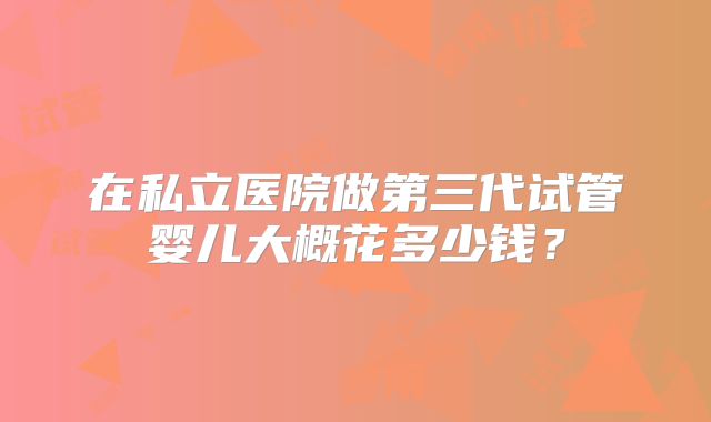 在私立医院做第三代试管婴儿大概花多少钱？