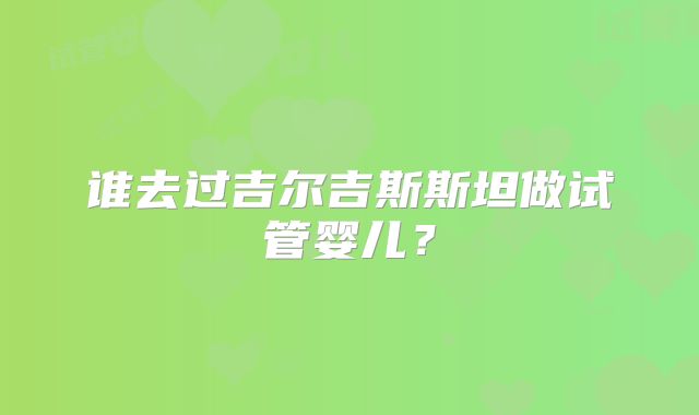 谁去过吉尔吉斯斯坦做试管婴儿？