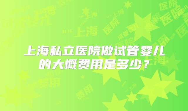 上海私立医院做试管婴儿的大概费用是多少？
