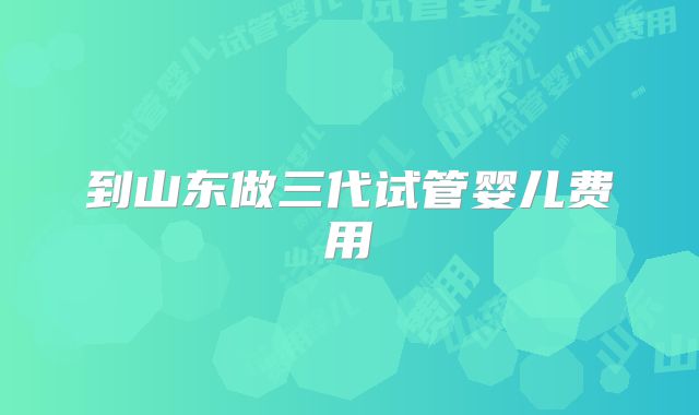 到山东做三代试管婴儿费用