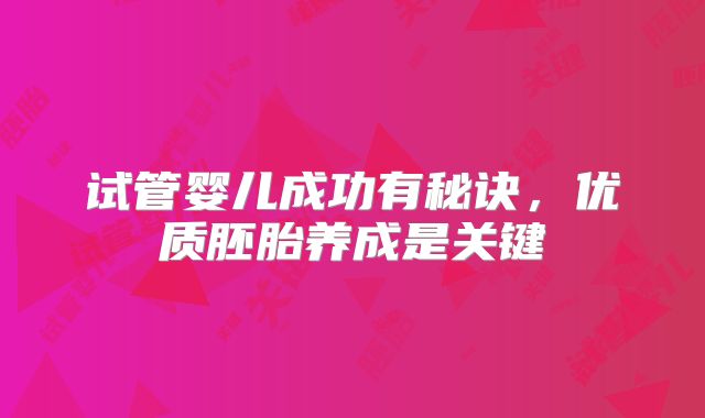 试管婴儿成功有秘诀,优质胚胎养成是关键
