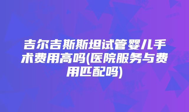 吉尔吉斯斯坦试管婴儿手术费用高吗(医院服务与费用匹配吗)
