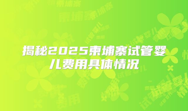 揭秘2025柬埔寨试管婴儿费用具体情况