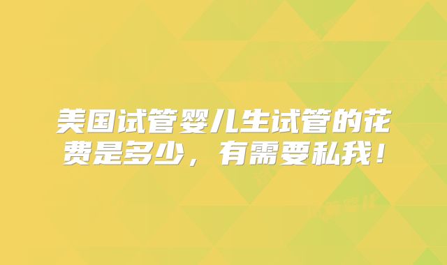 美国试管婴儿生试管的花费是多少,有需要私我!