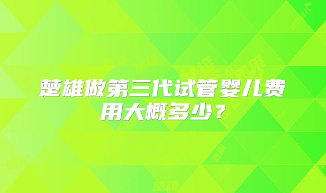 楚雄做第三代试管婴儿费用大概多少?