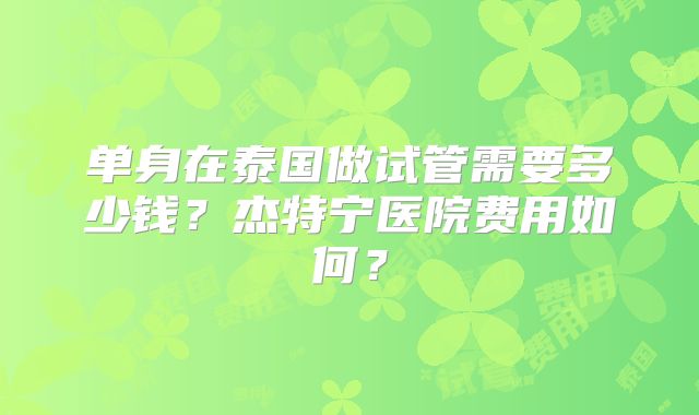 单身在泰国做试管需要多少钱？杰特宁医院费用如何？