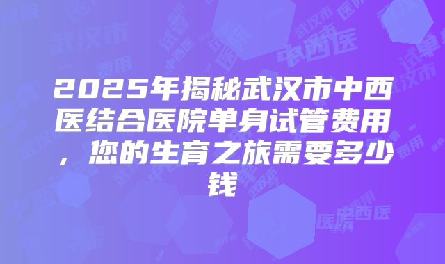 2025年揭秘武汉市中西医结合医院单身试管费用,您的生育之旅需要多少钱