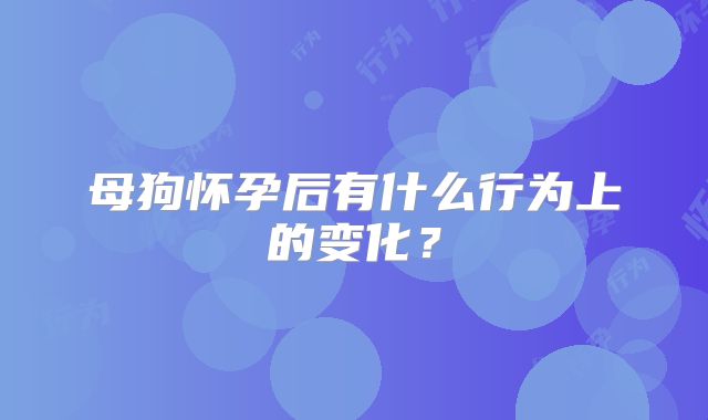 母狗怀孕后有什么行为上的变化?