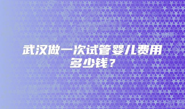 武汉做一次试管婴儿费用多少钱？