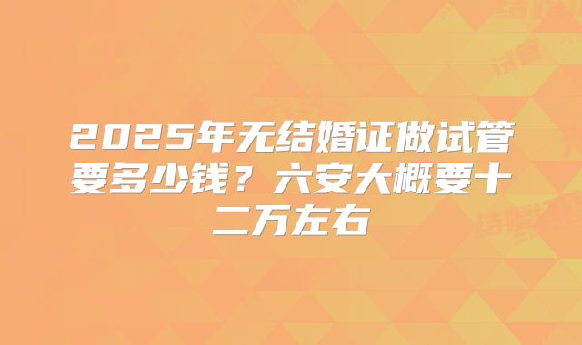 2025年无结婚证做试管要多少钱？六安大概要十二万左右