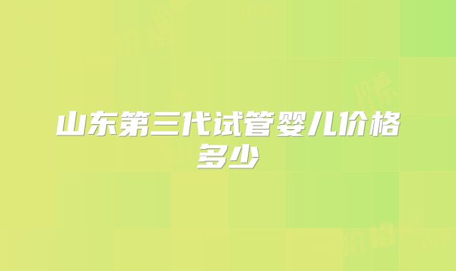 山东第三代试管婴儿价格多少