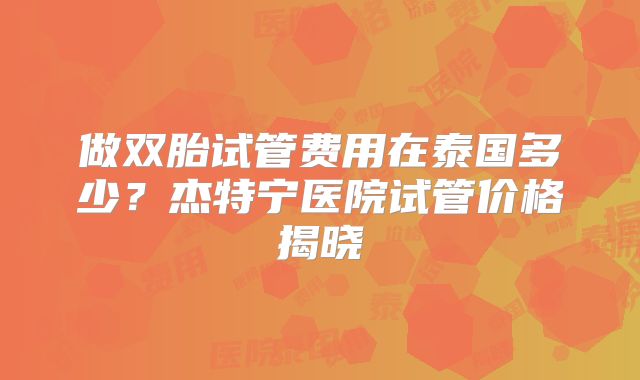 做双胎试管费用在泰国多少？杰特宁医院试管价格揭晓