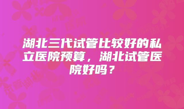 湖北三代试管比较好的私立医院预算，湖北试管医院好吗？
