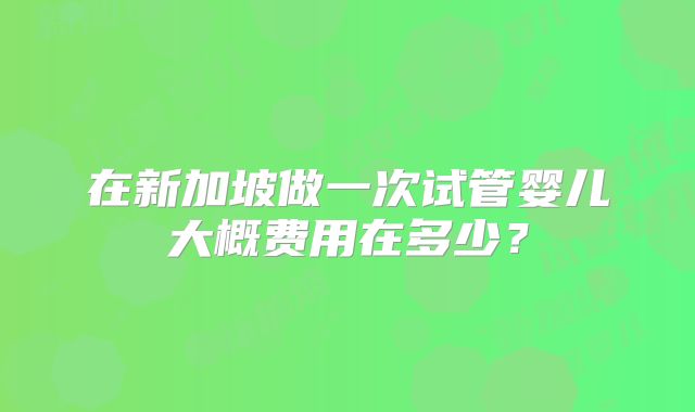 在新加坡做一次试管婴儿大概费用在多少？