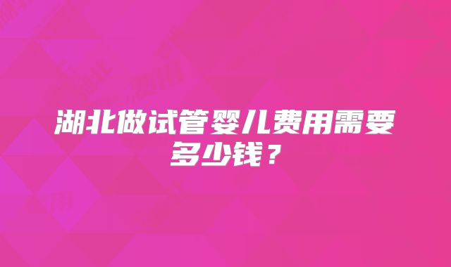 湖北做试管婴儿费用需要多少钱？