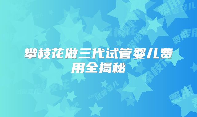 攀枝花做三代试管婴儿费用全揭秘