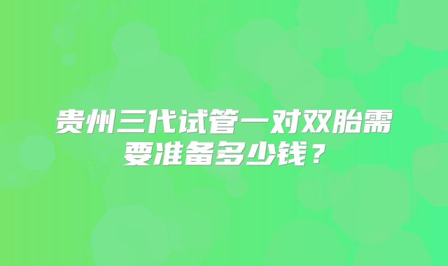 贵州三代试管一对双胎需要准备多少钱？