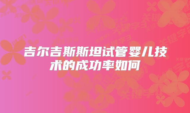 吉尔吉斯斯坦试管婴儿技术的成功率如何