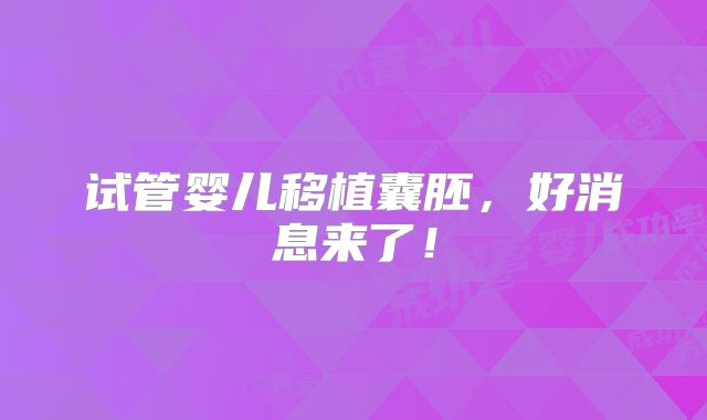 试管婴儿移植囊胚，好消息来了！