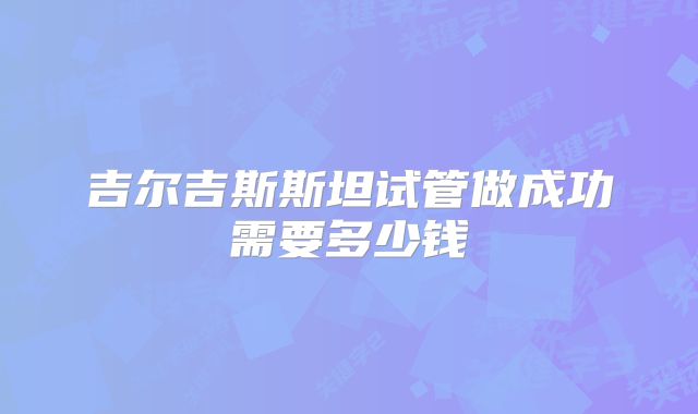 吉尔吉斯斯坦试管做成功需要多少钱