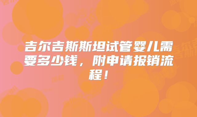 吉尔吉斯斯坦试管婴儿需要多少钱，附申请报销流程！