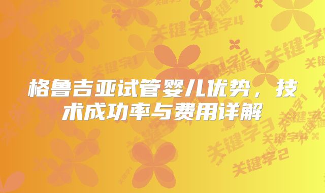 格鲁吉亚试管婴儿优势，技术成功率与费用详解