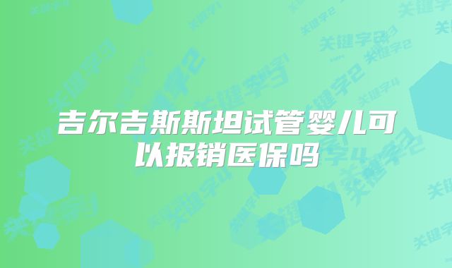 吉尔吉斯斯坦试管婴儿可以报销医保吗