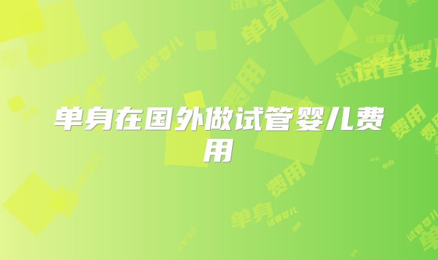 单身在国外做试管婴儿费用