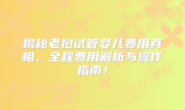 揭秘老挝试管婴儿费用真相，全程费用解析与操作指南！