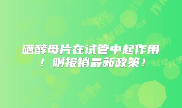 硒酵母片在试管中起作用！附报销最新政策！