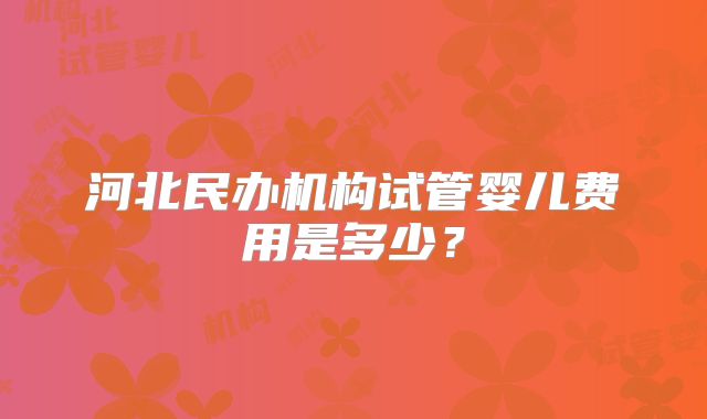 河北民办机构试管婴儿费用是多少？
