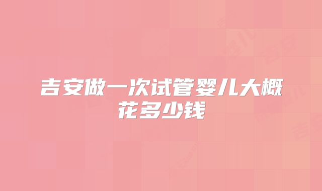 吉安做一次试管婴儿大概花多少钱